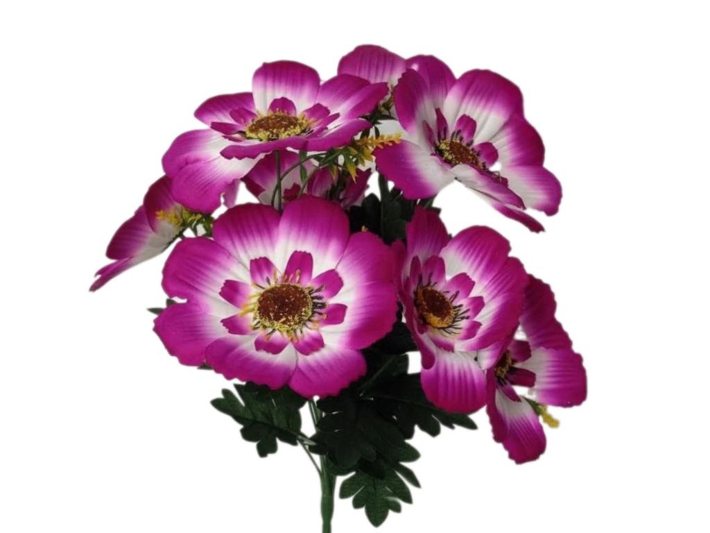 Фото Букет Анемона Де Кайен 9цв 50см KF-4