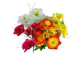 Фото Букеты и цветы